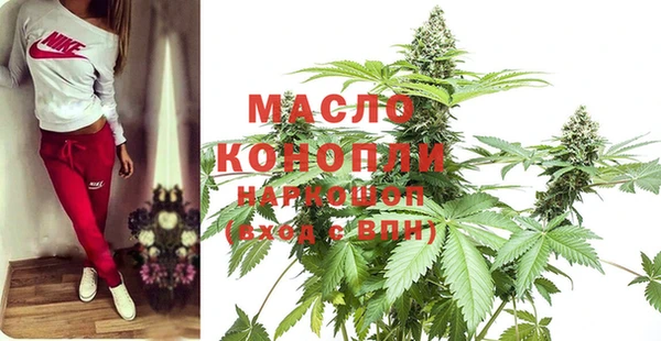 индика Абдулино
