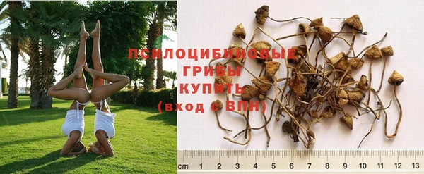 тгк Абинск