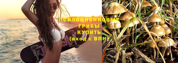 индика Абдулино