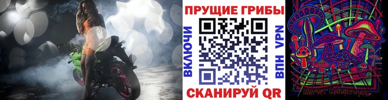 гидра сайт  Болохово  нарко площадка Telegram  Псилоцибиновые грибы мицелий 