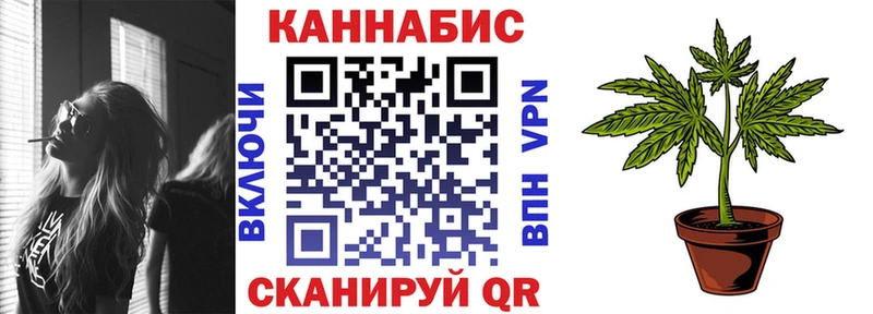 Бошки марихуана марихуана  наркошоп  Болохово 